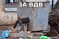 Нажмите на изображение для увеличения
Название: 5srFI-AU9uQ.jpg
Просмотров: 387
Размер:	62.4 Кб
ID:	1464287