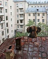 Нажмите на изображение для увеличения
Название: image-uni-128365-795790150.jpeg
Просмотров: 412
Размер:	165.8 Кб
ID:	1464316