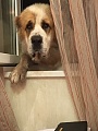 Нажмите на изображение для увеличения
Название: IMG_7733.jpg
Просмотров: 51
Размер:	369.0 Кб
ID:	1466049