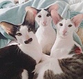 Нажмите на изображение для увеличения
Название: image-uni-128365-86024007.jpeg
Просмотров: 323
Размер:	52.9 Кб
ID:	1466511