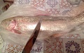 Нажмите на изображение для увеличения
Название: image.jpeg
Просмотров: 354
Размер:	66.8 Кб
ID:	1468418