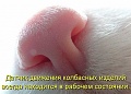Нажмите на изображение для увеличения
Название: image-uni-128365-1147275305.jpeg
Просмотров: 310
Размер:	57.4 Кб
ID:	1468473