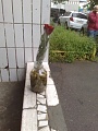 Нажмите на изображение для увеличения
Название: image-uni-128365-1833622621.jpeg
Просмотров: 412
Размер:	53.6 Кб
ID:	1473230