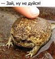 Нажмите на изображение для увеличения
Название: 8119997.jpg
Просмотров: 429
Размер:	62.9 Кб
ID:	1475599