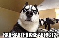 Нажмите на изображение для увеличения
Название: image.jpeg
Просмотров: 361
Размер:	58.6 Кб
ID:	1479144