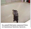 Нажмите на изображение для увеличения
Название: image-uni-128365-1626519488.jpeg
Просмотров: 381
Размер:	43.8 Кб
ID:	1481142