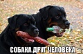 Нажмите на изображение для увеличения
Название: image-uni-128365-634393881.jpeg
Просмотров: 358
Размер:	80.4 Кб
ID:	1482973