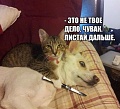 Нажмите на изображение для увеличения
Название: image-uni-128365-1772892674.jpeg
Просмотров: 397
Размер:	86.7 Кб
ID:	1483775