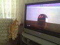 Нажмите на изображение для увеличения
Название: image-uni-128365-1954738372.jpeg
Просмотров: 342
Размер:	47.3 Кб
ID:	1492714