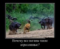 Нажмите на изображение для увеличения
Название: image-uni-128365-2076654550.jpeg
Просмотров: 340
Размер:	80.8 Кб
ID:	1492719