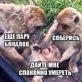 Нажмите на изображение для увеличения
Название: image-uni-128365-1762038801.jpeg
Просмотров: 347
Размер:	79.2 Кб
ID:	1492720