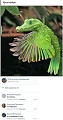 Нажмите на изображение для увеличения
Название: image-uni-128365-475270456.jpeg
Просмотров: 337
Размер:	131.0 Кб
ID:	1492728