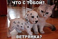Нажмите на изображение для увеличения
Название: image-uni-128365-395624444.jpeg
Просмотров: 382
Размер:	48.9 Кб
ID:	1493324