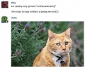 Нажмите на изображение для увеличения
Название: image-uni-128365-138033274.jpeg
Просмотров: 401
Размер:	54.3 Кб
ID:	1495029