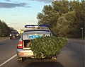 Нажмите на изображение для увеличения
Название: image-uni-128365-1957509932.jpeg
Просмотров: 330
Размер:	70.7 Кб
ID:	1496601
