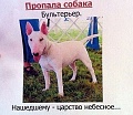 Нажмите на изображение для увеличения
Название: itNyZJ_F_SY.jpg
Просмотров: 329
Размер:	96.5 Кб
ID:	1496936