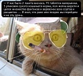 Нажмите на изображение для увеличения
Название: image.jpeg
Просмотров: 364
Размер:	91.3 Кб
ID:	1497882