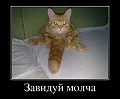 Нажмите на изображение для увеличения
Название: image-uni-128365-1115210031.jpeg
Просмотров: 349
Размер:	71.8 Кб
ID:	1497905