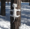 Нажмите на изображение для увеличения
Название: freez_m.jpg
Просмотров: 349
Размер:	54.4 Кб
ID:	1499499