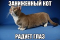 Нажмите на изображение для увеличения
Название: vdd.jpg
Просмотров: 347
Размер:	103.9 Кб
ID:	1499500