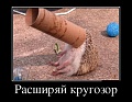 Нажмите на изображение для увеличения
Название: podborka-demotivatorov-460-012.jpg
Просмотров: 377
Размер:	55.4 Кб
ID:	1499592