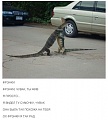 Нажмите на изображение для увеличения
Название: image-uni-128365-390411507.jpeg
Просмотров: 414
Размер:	44.5 Кб
ID:	1502271