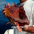 Нажмите на изображение для увеличения
Название: image.png
Просмотров: 320
Размер:	360.2 Кб
ID:	1505549