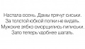 Нажмите на изображение для увеличения
Название: image-uni-128365-375003254.jpeg
Просмотров: 360
Размер:	36.4 Кб
ID:	1514176