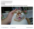 Нажмите на изображение для увеличения
Название: image-uni-128365-355145504.jpeg
Просмотров: 354
Размер:	104.2 Кб
ID:	1514177