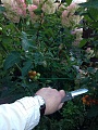 Нажмите на изображение для увеличения
Название: IMG_0709.jpg
Просмотров: 132
Размер:	408.8 Кб
ID:	1516748