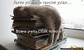 Нажмите на изображение для увеличения
Название: 123.jpg
Просмотров: 384
Размер:	53.5 Кб
ID:	1518176