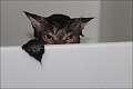 Нажмите на изображение для увеличения
Название: 234.jpg
Просмотров: 381
Размер:	40.6 Кб
ID:	1518177