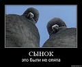 Нажмите на изображение для увеличения
Название: image.jpeg
Просмотров: 325
Размер:	19.8 Кб
ID:	1519116