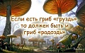 Нажмите на изображение для увеличения
Название: image-uni-128365-1117200197.jpeg
Просмотров: 314
Размер:	73.5 Кб
ID:	1519124