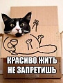 Нажмите на изображение для увеличения
Название: image-uni-128365-1559534133.jpeg
Просмотров: 357
Размер:	51.0 Кб
ID:	1521946