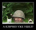 Нажмите на изображение для увеличения
Название: 2583281_e4a70374.jpg
Просмотров: 309
Размер:	37.3 Кб
ID:	1523224