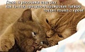 Нажмите на изображение для увеличения
Название: 1382986180_mysli-vsluh-10.jpg
Просмотров: 316
Размер:	41.1 Кб
ID:	1523225