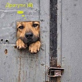 Нажмите на изображение для увеличения
Название: image.jpeg
Просмотров: 368
Размер:	92.9 Кб
ID:	1524309