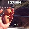 Нажмите на изображение для увеличения
Название: czyp2HfXji8.jpg
Просмотров: 412
Размер:	62.9 Кб
ID:	1524718