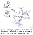 Нажмите на изображение для увеличения
Название: IMG_3716.JPG
Просмотров: 372
Размер:	44.5 Кб
ID:	1528370