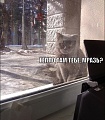 Нажмите на изображение для увеличения
Название: IMG_3733.JPG
Просмотров: 364
Размер:	101.9 Кб
ID:	1528387