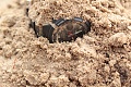 Нажмите на изображение для увеличения
Название: IMG_2774.jpg
Просмотров: 191
Размер:	499.2 Кб
ID:	152934