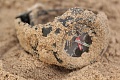 Нажмите на изображение для увеличения
Название: IMG_2816.jpg
Просмотров: 187
Размер:	303.0 Кб
ID:	152945