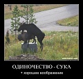 Нажмите на изображение для увеличения
Название: IMG_3771.JPG
Просмотров: 401
Размер:	58.5 Кб
ID:	1533317