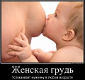 Нажмите на изображение для увеличения
Название: 1.jpg
Просмотров: 349
Размер:	59.4 Кб
ID:	1533401