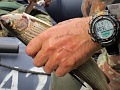 Нажмите на изображение для увеличения
Название: IMG_2796.jpg
Просмотров: 1075
Размер:	359.9 Кб
ID:	153944