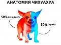 Нажмите на изображение для увеличения
Название: IMG_3850.JPG
Просмотров: 374
Размер:	42.4 Кб
ID:	1540575