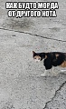 Нажмите на изображение для увеличения
Название: IMG_3858.JPG
Просмотров: 356
Размер:	91.7 Кб
ID:	1540581