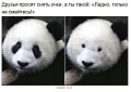 Нажмите на изображение для увеличения
Название: IMG_3885.JPG
Просмотров: 366
Размер:	87.5 Кб
ID:	1544399