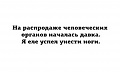 Нажмите на изображение для увеличения
Название: IMG_3933.JPG
Просмотров: 385
Размер:	22.5 Кб
ID:	1548719